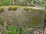 image of grave number 142102